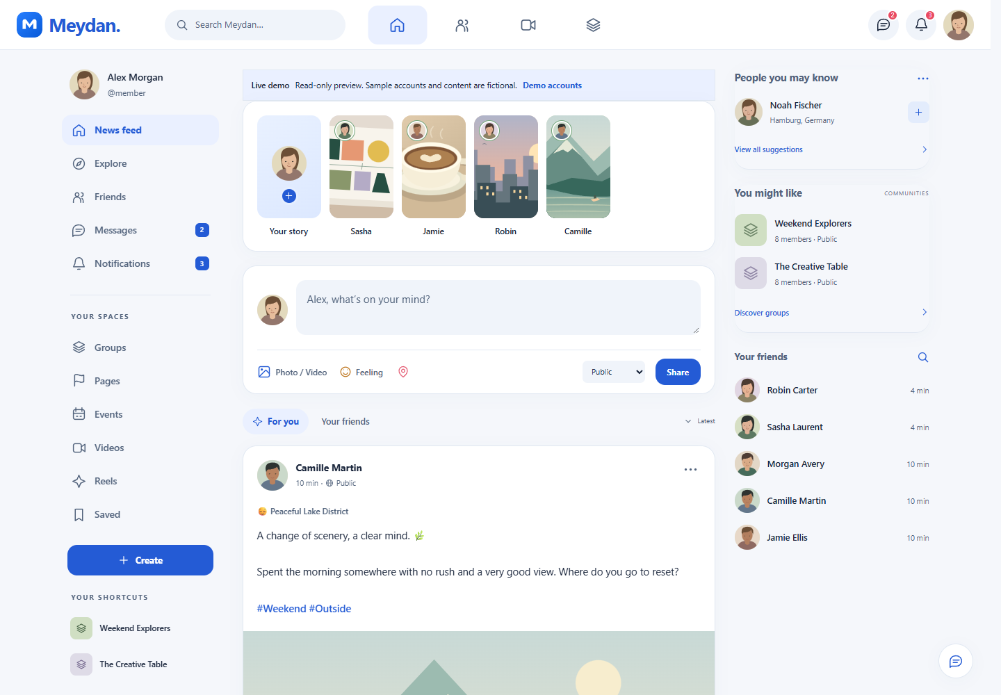 Meydan desktop news feed with stories, posts and contacts